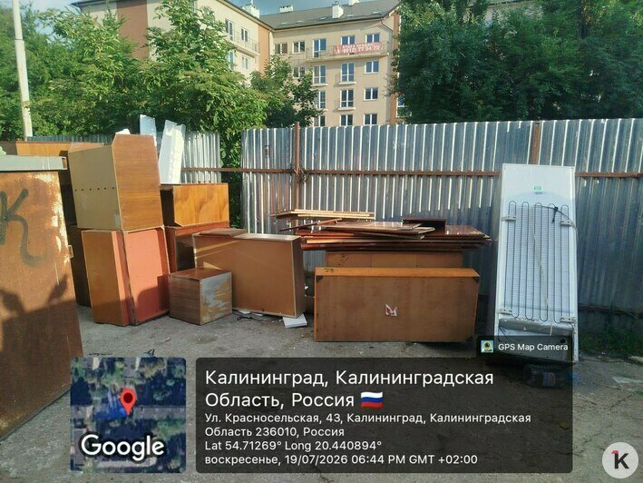 Вонь и насекомые: 6 мест в Калининграде, где в борьбе за место под солнцем выиграл мусор (фото, видео)   - Новости Калининграда | Фото: Марина Миркина