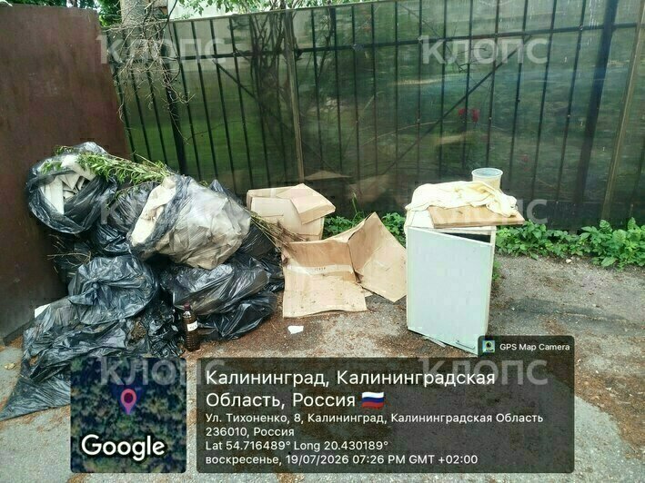 Вонь и насекомые: 6 мест в Калининграде, где в борьбе за место под солнцем выиграл мусор (фото, видео)   - Новости Калининграда | Фото: Марина Миркина