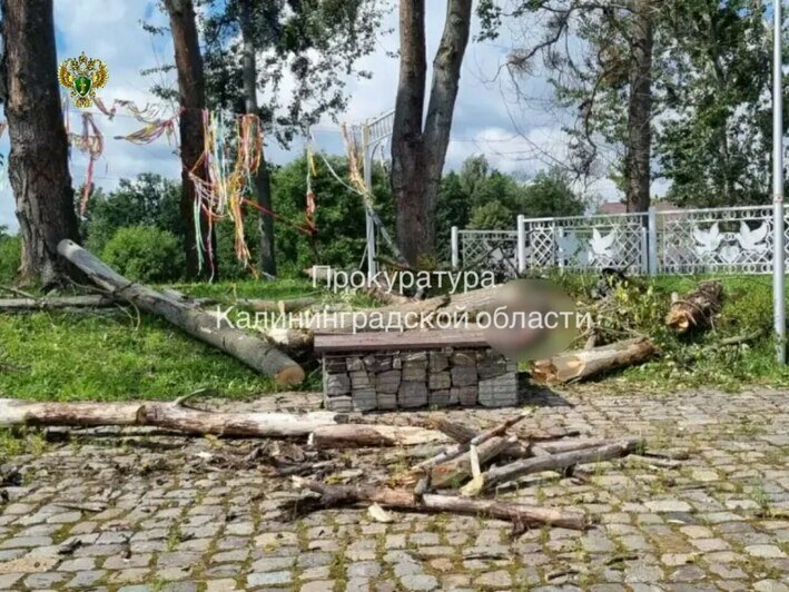 Прокуратура начала проверку после гибели рабочего, сорвавшегося с высоты в парке Багратионовска - Новости Калининграда | Фото: канал прокуратуры Калининградской области / Макс