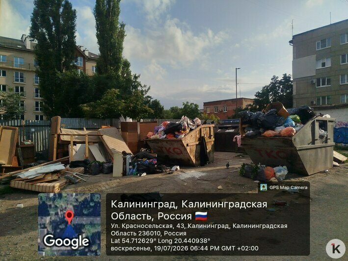 Вонь и насекомые: 6 мест в Калининграде, где в борьбе за место под солнцем выиграл мусор (фото, видео)   - Новости Калининграда | Фото: Марина Миркина