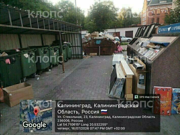 Вонь и насекомые: 6 мест в Калининграде, где в борьбе за место под солнцем выиграл мусор (фото, видео)   - Новости Калининграда | Фото: Марина Миркина