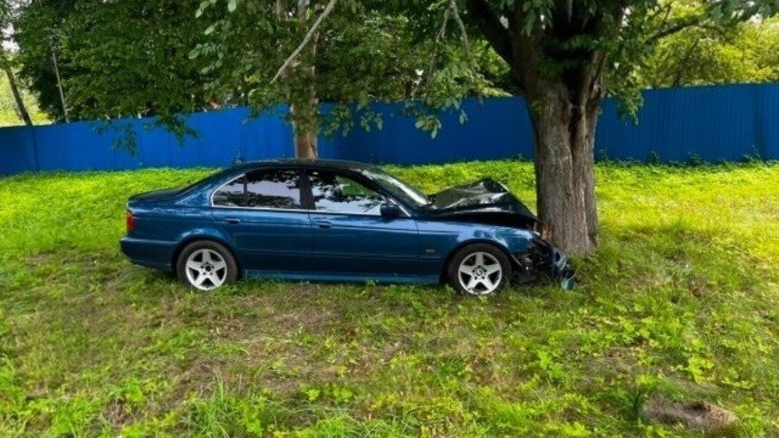 На трассе на Балтийск женщина за рулём BMW решила пойти на обгон, но врезалась в придорожное дерево   - Новости Калининграда | Фото: Госавтоинспекция Калининградской области