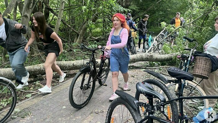 Построенная, но не открытая велодорожка у Янтарного начала зарастать травой (фото) - Новости Калининграда | Фото: «Клопс»