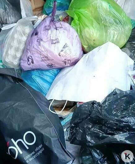 Нырнуть в кеску: калининградка рассказала, почему уже год почти не покупает продукты и одежду (фото)   - Новости Калининграда | Скриншот видео: Наталья / телеграм-канал «Ириски из кески»