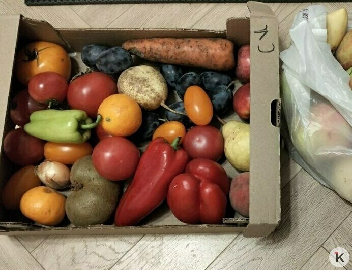 Нырнуть в кеску: калининградка рассказала, почему уже год почти не покупает продукты и одежду (фото)   - Новости Калининграда | Фото: Наталья