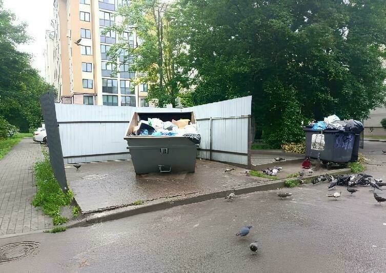 В ЕСОО ответили на жалобы на переполненные мусорные площадки в Калининграде (фото)  - Новости Калининграда | Фото: ЕСОО