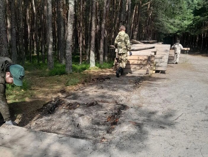 На Куршской косе деревянный настил к морю на экотропе «Высота Эфа» заменили на композитный (фото)   - Новости Калининграда | Фото: пресс-служба Национального парка «Куршская коса»