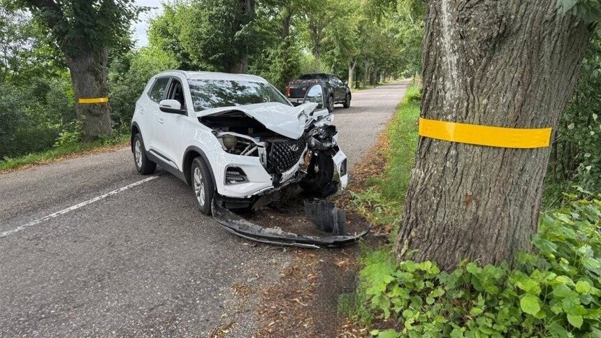 Под Полесском женщина на Chery выехала на встречку и врезалась в придорожное дерево   - Новости Калининграда | Фото: Госавтоинспекция Калининградской области