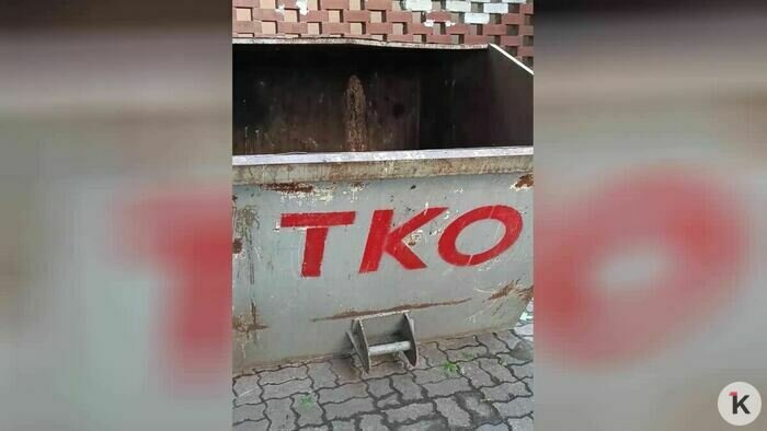 Нырнуть в кеску: калининградка рассказала, почему уже год почти не покупает продукты и одежду (фото)   - Новости Калининграда | Скриншот видео: Наталья / телеграм-канал «Ириски из кески»