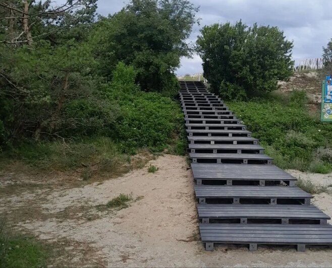 На Куршской косе деревянный настил к морю на экотропе «Высота Эфа» заменили на композитный (фото)   - Новости Калининграда | Фото: пресс-служба Национального парка «Куршская коса»