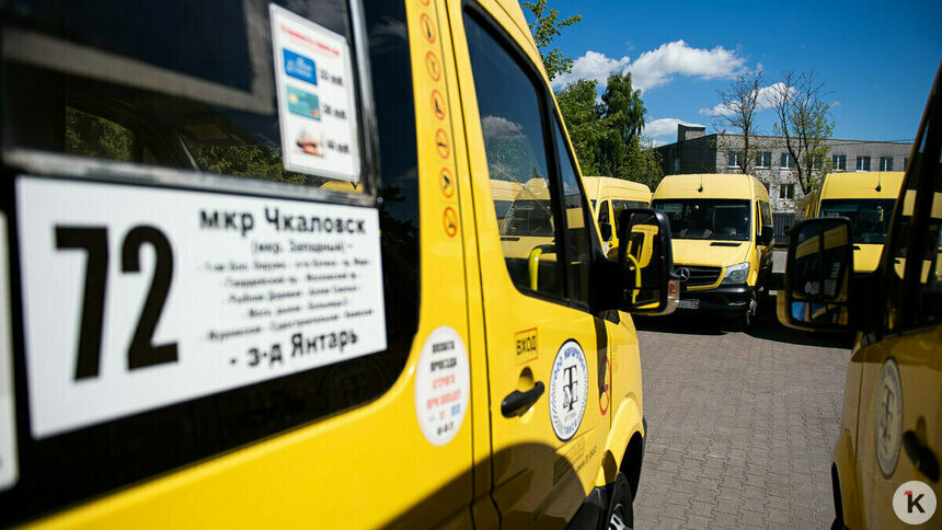 Дятлова хочет разобраться с маршруткой, которая перестала как следует вывозить пассажиров - Новости Калининграда | Фото: Александр Подгорчук / Архив «Клопс»