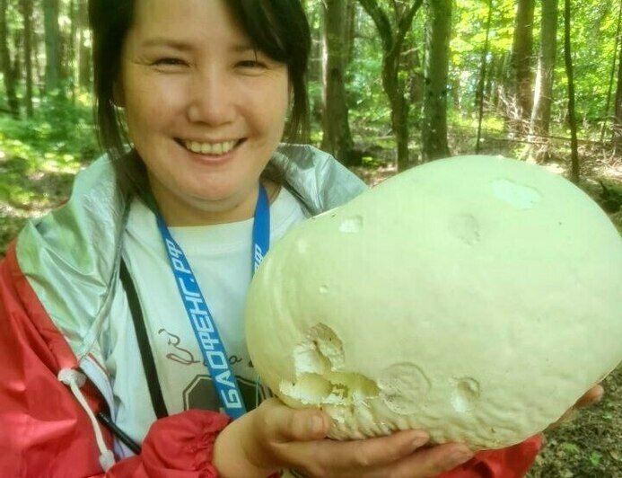 Трёхкилограммовый гриб, из которого можно жарить стейки, нашли в Нестеровском округе (видео) - Новости Калининграда | Фото: Николай Смирнов