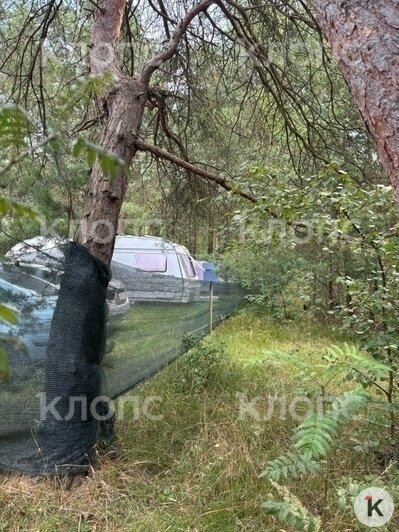 На Витланде владельцы палаток огородили их забором и сдают отдыхающим (фото, видео)    - Новости Калининграда | Фото: очевидец