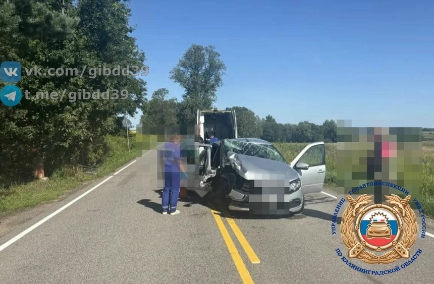 Под Гусевом водитель авто отвлёкся от дороги и врезался в дерево, пострадала пассажирка - Новости Калининграда | Фото: сообщество Госавтоинспекции Калининградской области / «ВКонтакте»