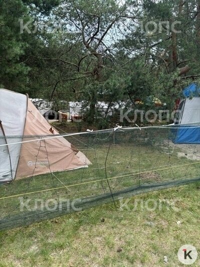 На Витланде владельцы палаток огородили их забором и сдают отдыхающим (фото, видео)    - Новости Калининграда | Фото: очевидец