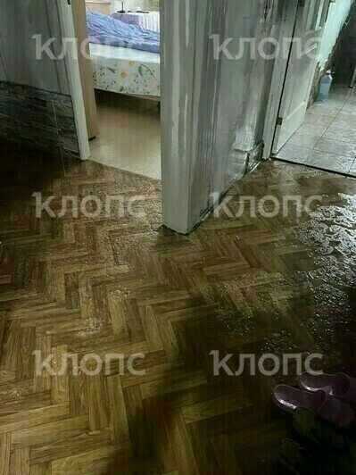 В Балтийске ливень заливает многоэтажку (фото) - Новости Калининграда | Фото: очевидец