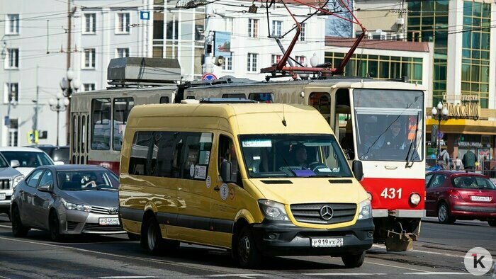 Литовская трезвость, провальный вопрос и борьба за жильё: события недели, которые обсуждали в Калининграде   - Новости Калининграда | Фото: Александр Подгорчук / Архив «Клопс»