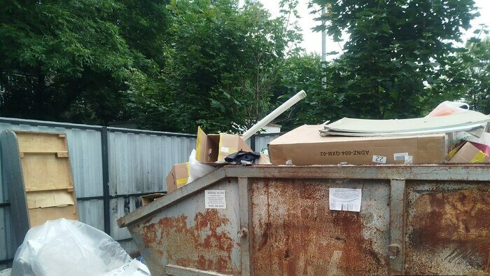 По следам шопинга и забытого матраса: каким улицам Калининграда давно требуется уборка (фото) - Новости Калининграда | Фото: Марина Миркина
