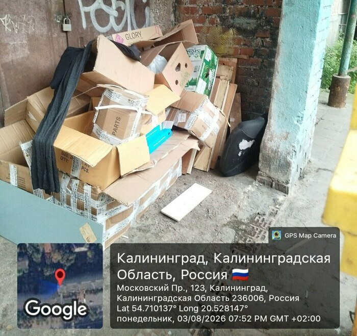 По следам шопинга и забытого матраса: каким улицам Калининграда давно требуется уборка (фото) - Новости Калининграда | Фото: Марина Миркина