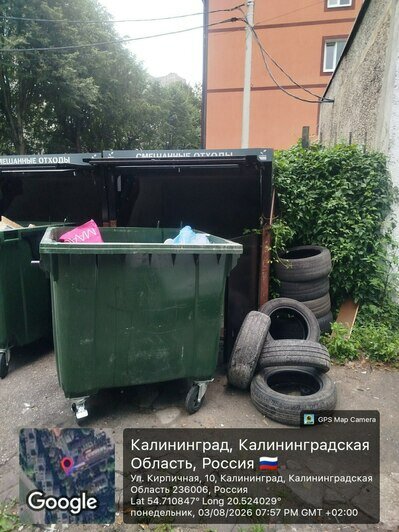По следам шопинга и забытого матраса: каким улицам Калининграда давно требуется уборка (фото) - Новости Калининграда | Фото: Марина Миркина