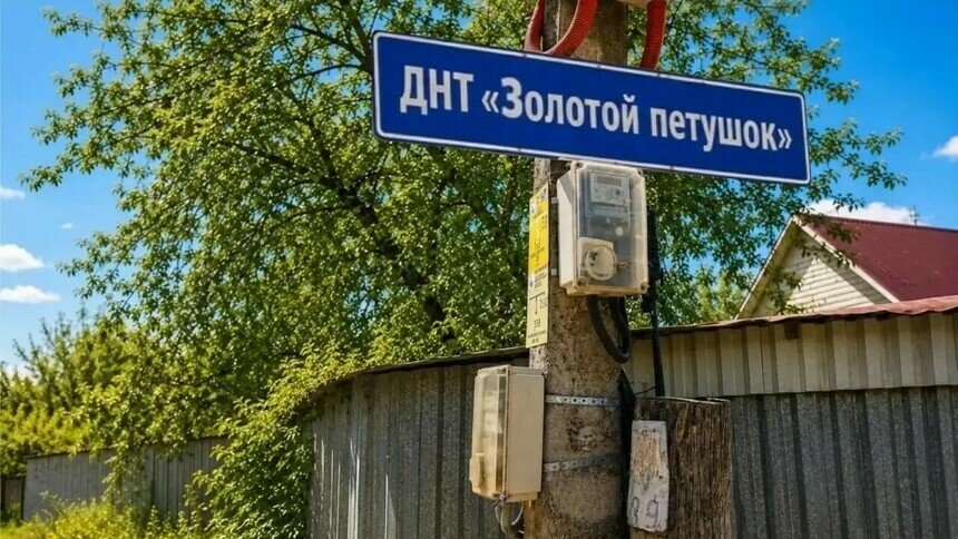 Долги перед энергетиками привели к банкротству ДНТ «Золотой петушок» - Новости Калининграда