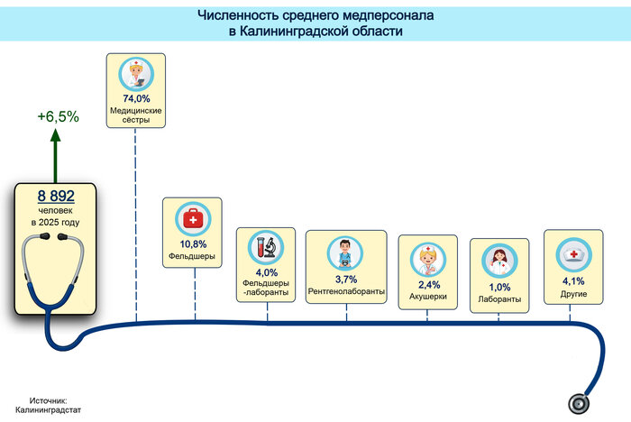 В Калининградской области стало больше врачей, но в системе здравоохранения остаются вакансии | Инфографика: Артем Пахоменко