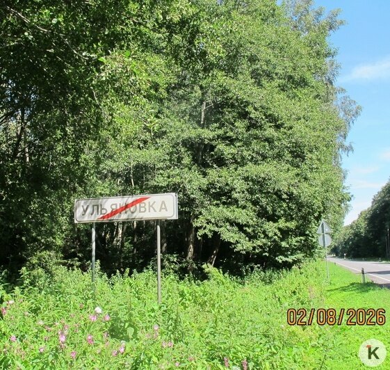 Европейские лесные клещи в Калининградской области вышли из летней «паузы» и снова агрессивны — эксперт   - Новости Калининграда | Фото: Евгений Волчев