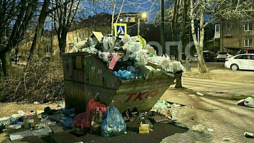 Замусоренные дворы попали под разнос: Беспрозванных потребовал найти виновных - Новости Калининграда | Фото: архив «Клопс»