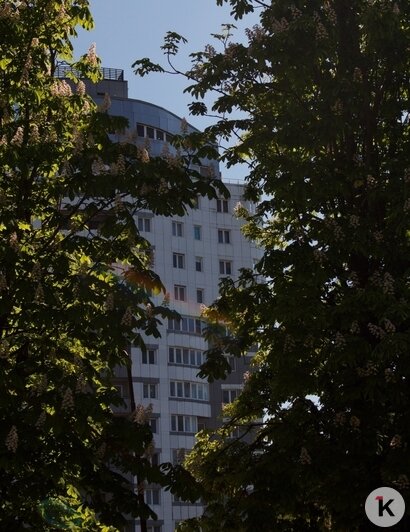 Жительница Кургана: в Калининградской области отличные дороги и невероятные облака - Новости Калининграда | Фото: Александра