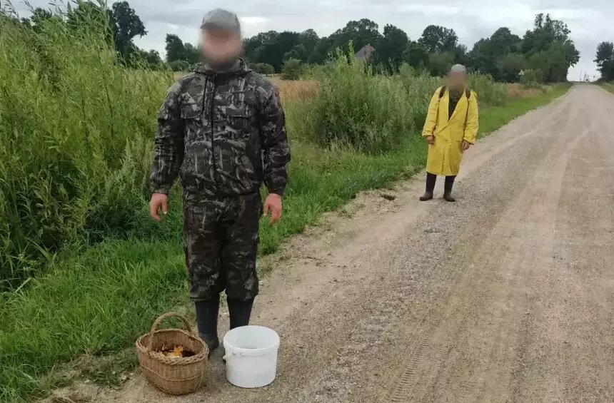 Двое мужчин заблудились в лесу под Правдинском и попали в болото   - Новости Калининграда | Фото: ГУ МЧС по Калининградской области