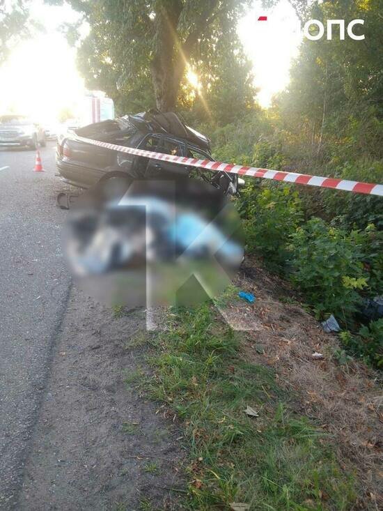 В смертельной аварии с Mitsubishi на трассе Логвино — Черепаново выжила 18-летняя пассажирка (фото) - Новости Калининграда | Фото: очевидцы