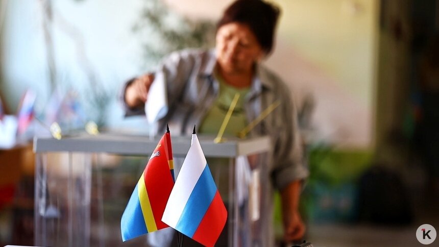 Винярская объяснила, что ждёт «Яблоко» на выборах в Калининградской области - Новости Калининграда | Фото: Александр Подгорчук / Архив «Клопс»