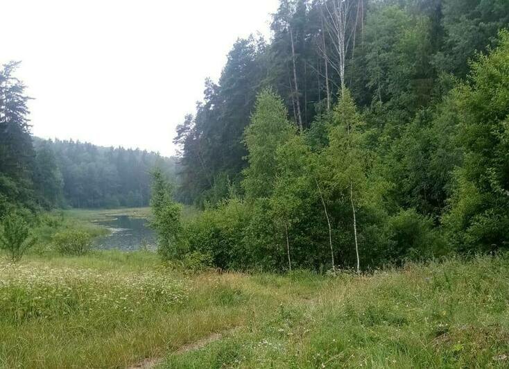 Река, озёра и гора: в Виштынецком нацпарке обустраивают четыре маршрута   - Новости Калининграда | Фото предоставила пресс-служба нацпарка