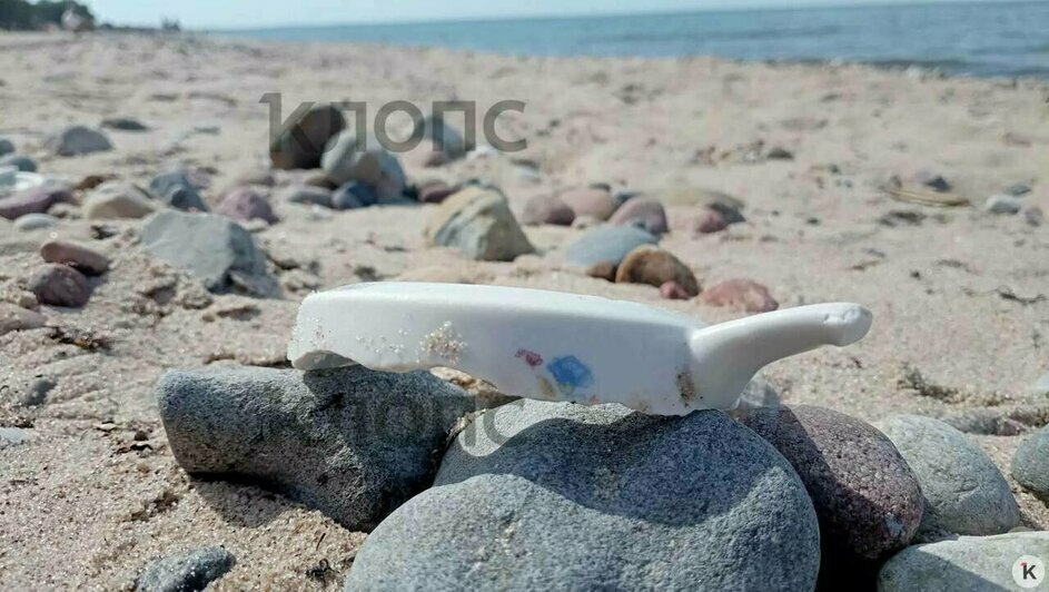 Загадочные находки после шторма и первая экскурсия по башне «Врангель»: 9 событий, которые обсуждали в выходные   - Новости Калининграда | Фото: очевидец