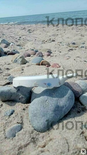 Загадочные находки после шторма и первая экскурсия по башне «Врангель»: 9 событий, которые обсуждали в выходные   - Новости Калининграда | Фото: очевидец