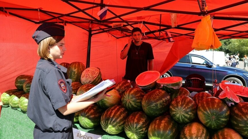 Мэрия Калининграда объявила войну арбузным крепостям и фруктовым фортам на автобусных остановках - Новости Калининграда | Фото: пресс-служба администрации Калининграда