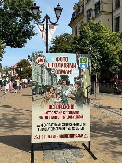 На улицах Зеленоградска поставили баннеры с призывом не фотографироваться с декоративными голубями (фото) - Новости Калининграда | Фото: сообщество администрации Зеленоградского муниципального округа / «ВКонтакте»