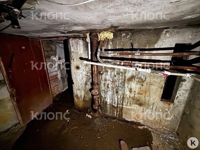 В центре Калининграда хозяин квартиры завалил её хламом до потолка и забирается домой через окно (фото)  - Новости Калининграда | Фото: Александр Подгорчук / «Клопс»