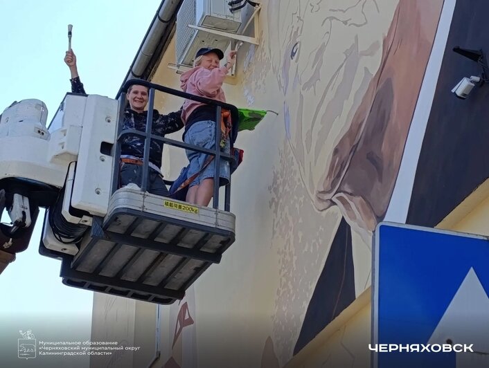 «Мы с готовностью делились историей»: художница — о мурале в Черняховске, который увековечил память советского архитектора - Новости Калининграда | Фото: администрация Черняховского округа