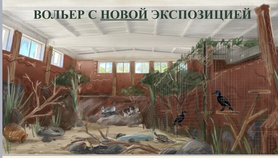 Пример внутреннего вольера | Фото: из презентации зоопарка