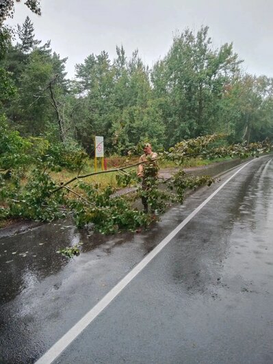 Завалы оперативно убирают | Фото: группа нацпарка «Куршская коса» в «ВКонтакте»