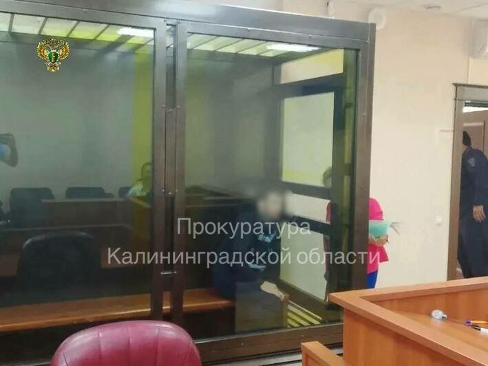 Обвиняемому избирают меру пресечения  | Фото: Прокуратура Калининградской области