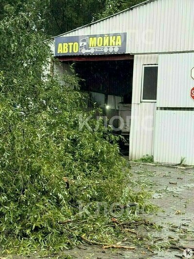 Последствия шторма и латвийский турист с крупной суммой денег в носке: 5 событий, которые калининградцы обсуждали в выходные   - Новости Калининграда | Фото: очевидец