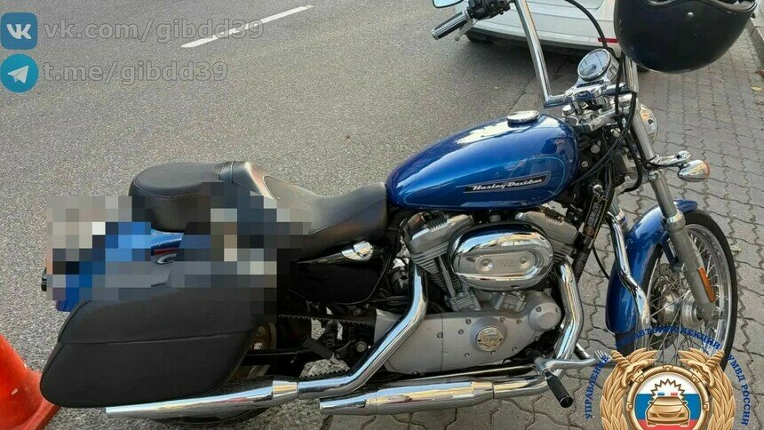 В Центральном районе голубой «Харлей» сбил на пешеходном переходе молодую женщину - Новости Калининграда | Фото: Госавтоинспекция Калининградской области