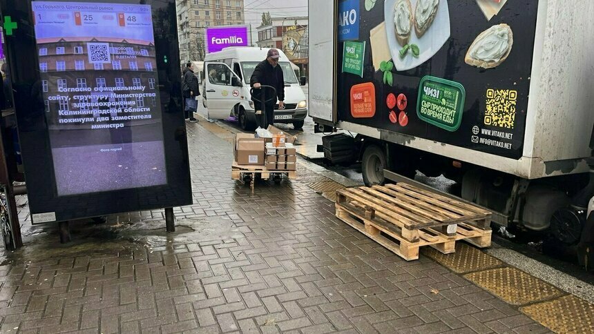 После публикаций «Клопс» у Центрального рынка поставят камеры против нарушителей  - Новости Калининграда | Фото: архив «Клопс»