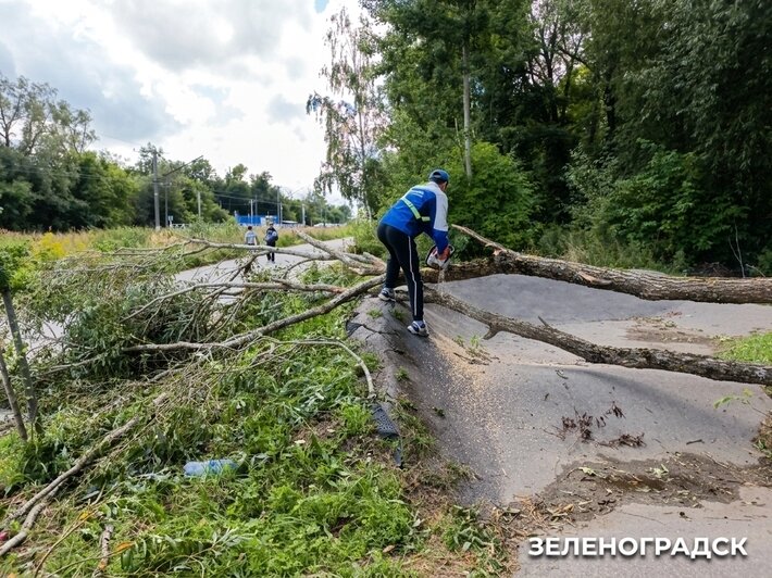 Рвали провода и выдирали деревья с корнями: власти Зеленоградска сравнили два сильнейших летних шторма (фото) - Новости Калининграда | Фото: сообщество администрации Зеленоградского муниципального округа / «ВКонтакте»