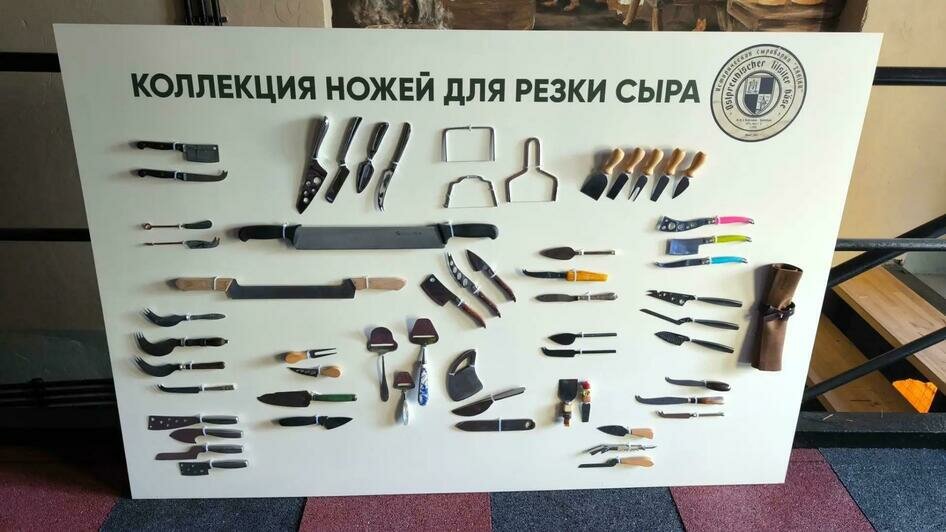От «Заалау» до «Тильзита»: как семья Вольных создаёт сырный маршрут на востоке области - Новости Калининграда