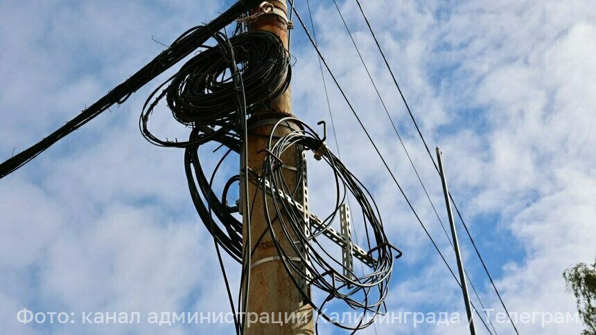 В Калининграде через 20 дней начнут срезать провода со столбов на четырёх улицах - Новости Калининграда | Фото: канал администрации Калининграда / Телеграм