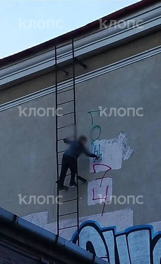 «Пусть хотя бы родители увидят»: калининградские подростки в третий раз разрисовали фасад многоэтажки (фото)   - Новости Калининграда | Фото: предоставила Ксения