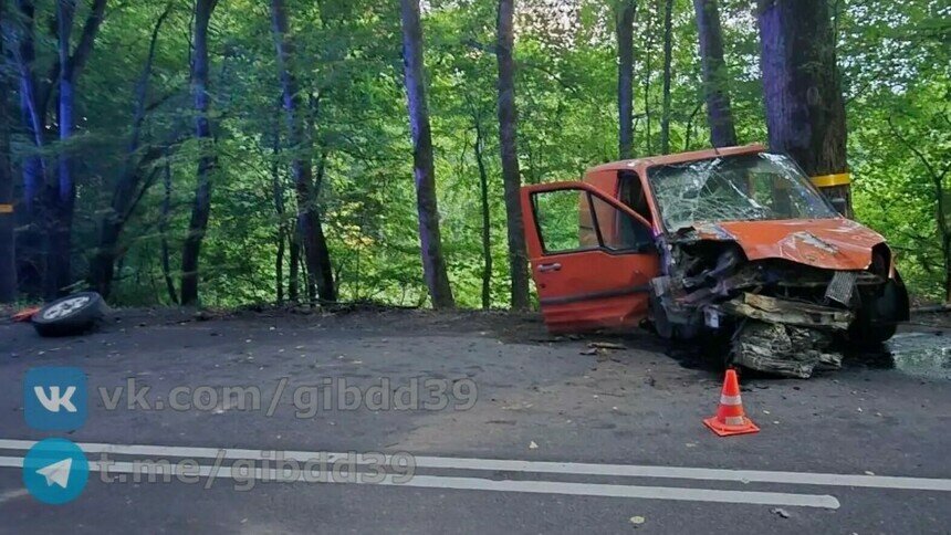 От удара у машины оторвало колесо: в Зеленоградском районе водитель Ford врезался в дерево и погиб - Новости Калининграда | Фото: Госавтоинспекция Калининградской области